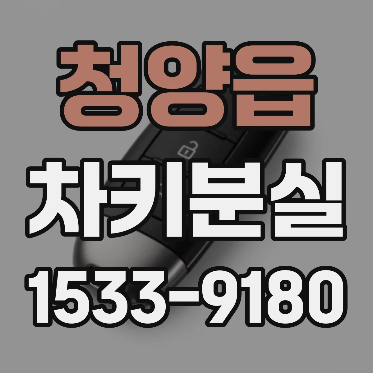 청양읍 차키분실