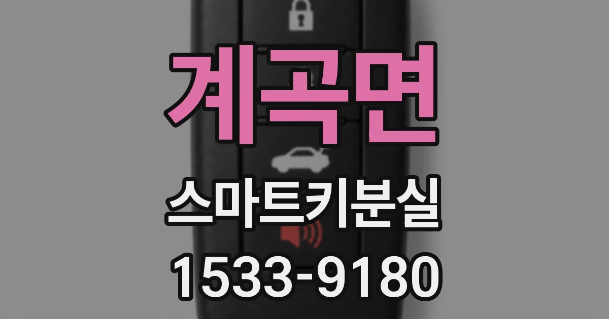 계곡면 스마트키분실
