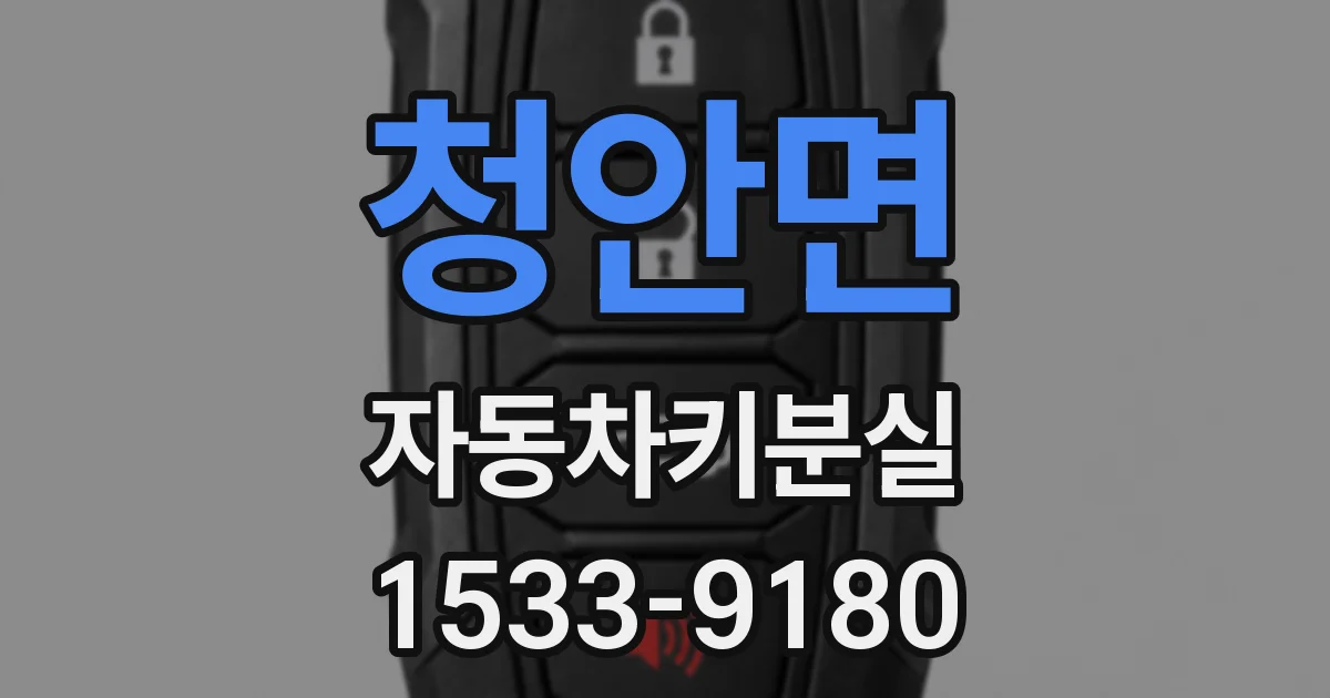 청안면 자동차키분실