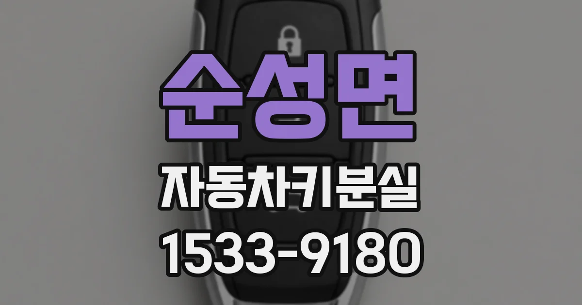 순성면 자동차키분실
