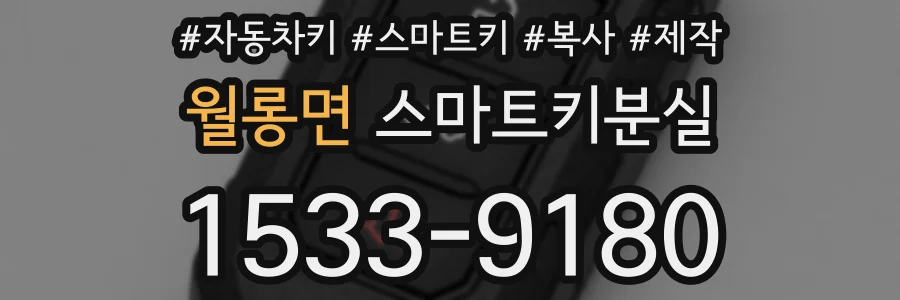 월롱면 스마트키분실