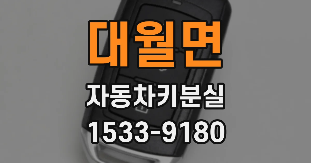 대월면 자동차키분실