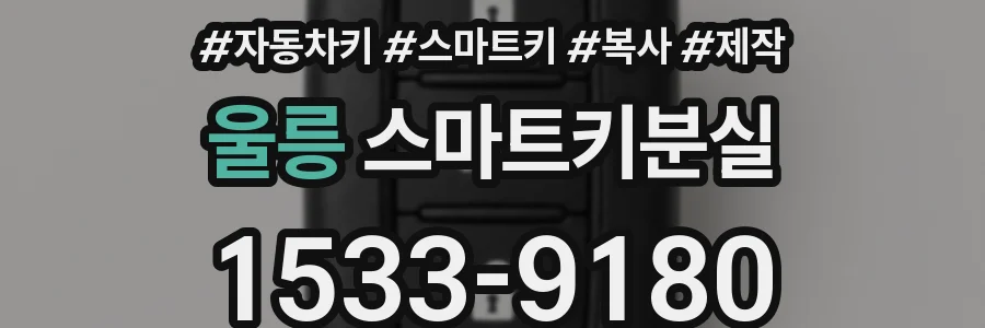 울릉 스마트키분실