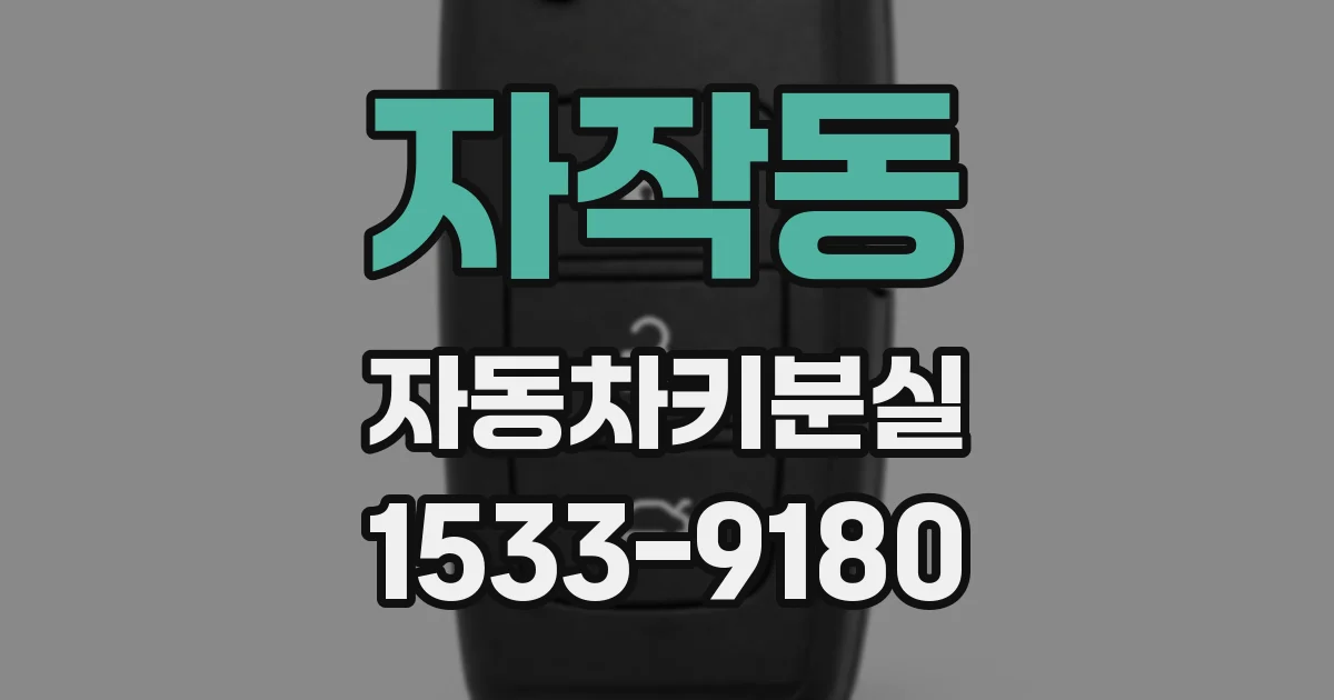 자작동 자동차키분실