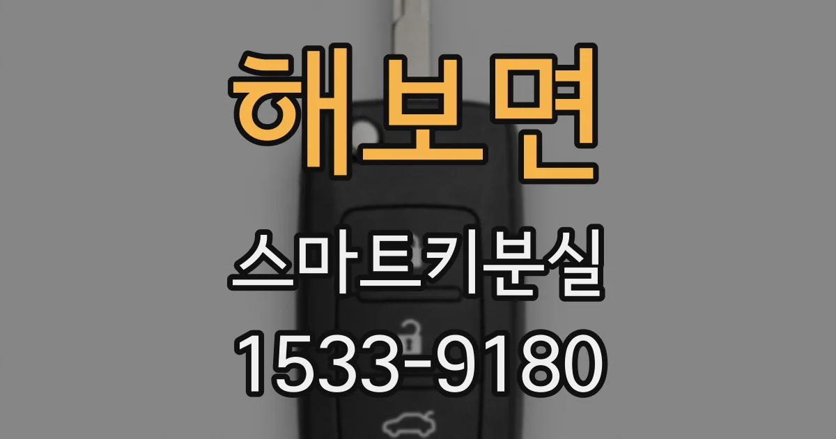 해보면 스마트키분실