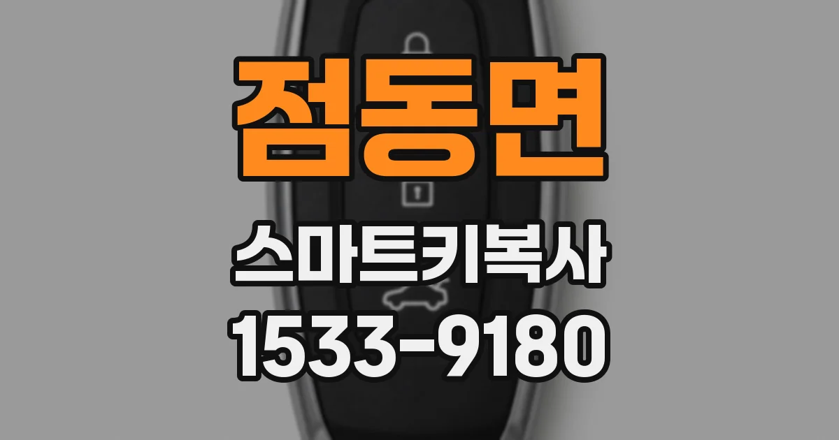 점동면 스마트키복사