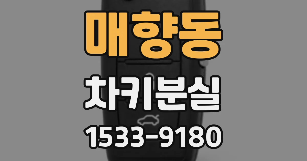 매향동 차키분실