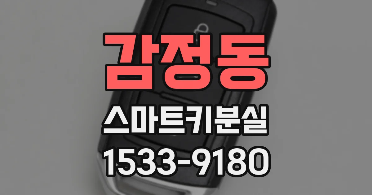 감정동 스마트키분실