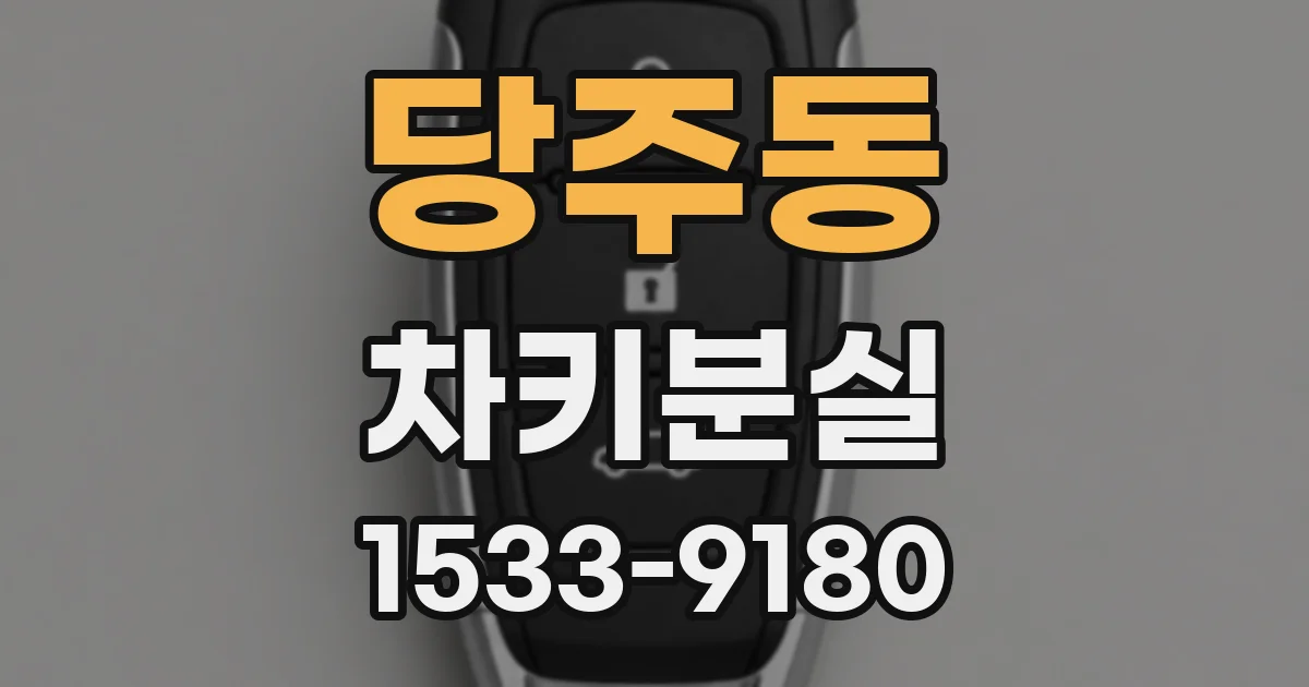 당주동 차키분실