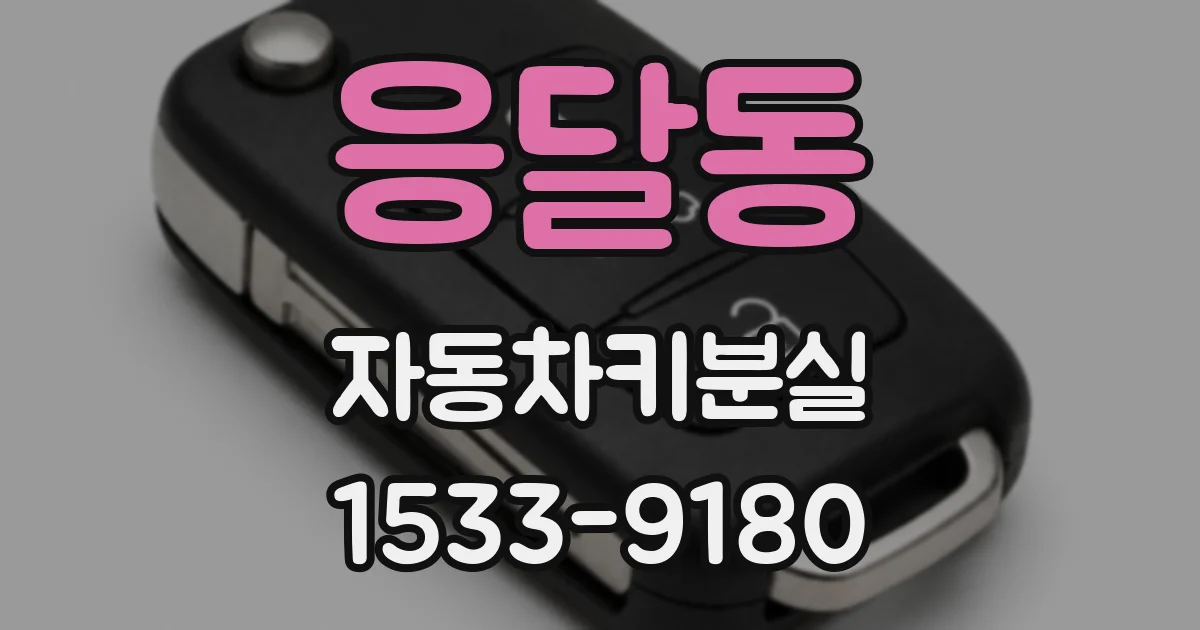 응달동 자동차키분실