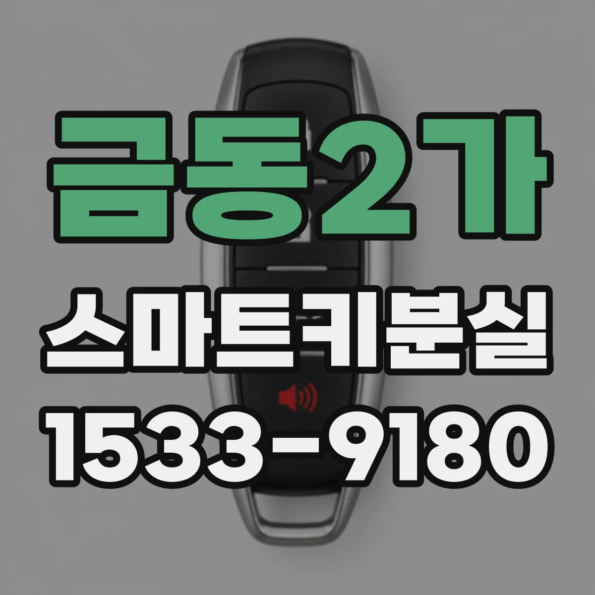 금동2가 스마트키분실