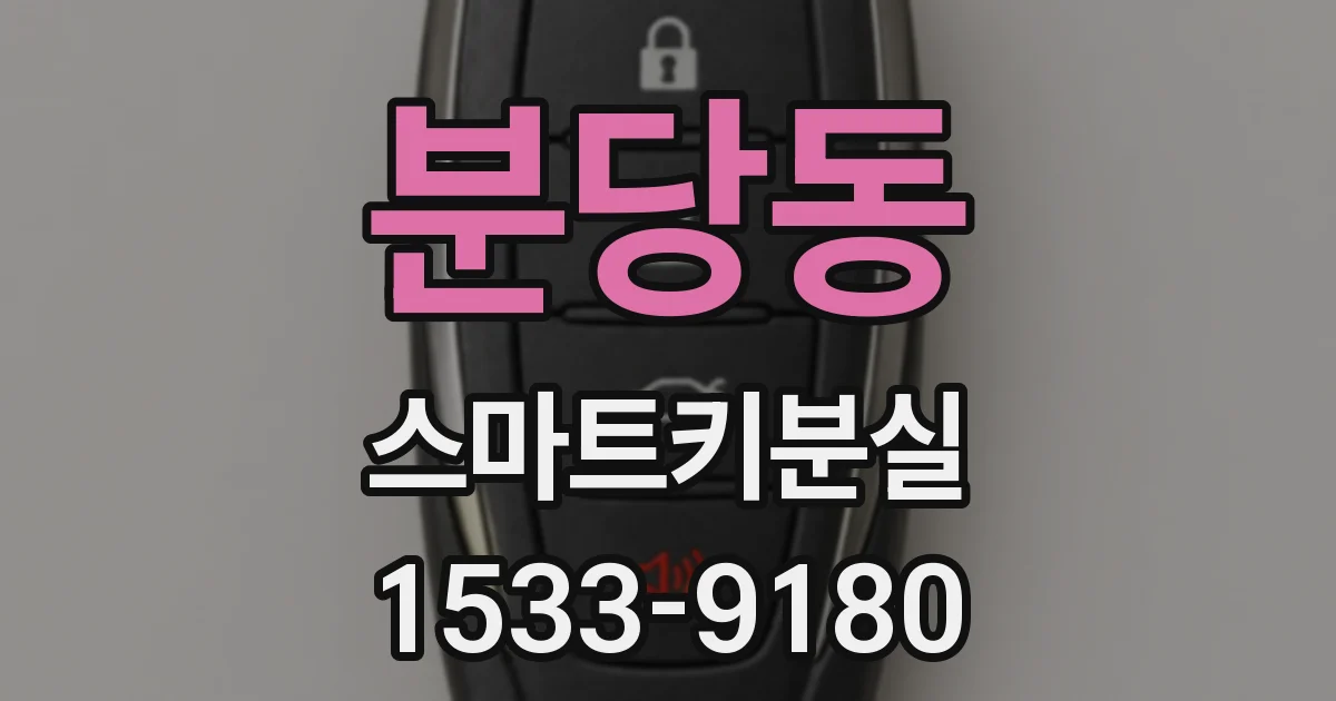 분당동 스마트키분실