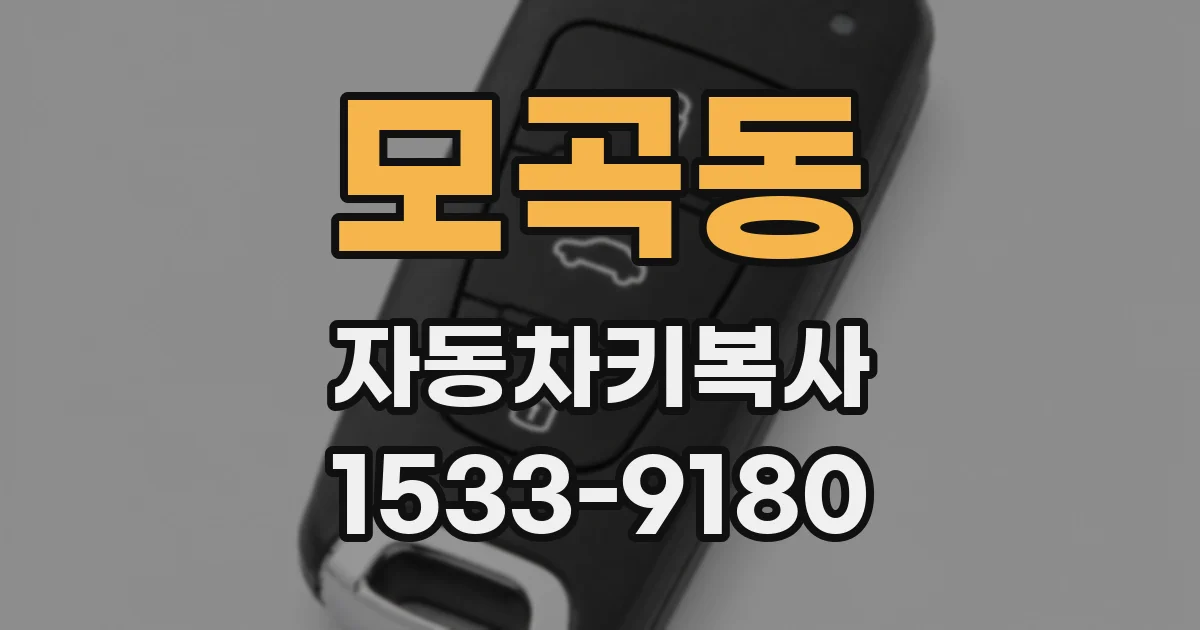 모곡동 자동차키복사