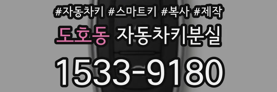 도호동 자동차키분실