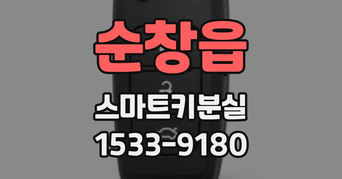 순창읍 스마트키분실