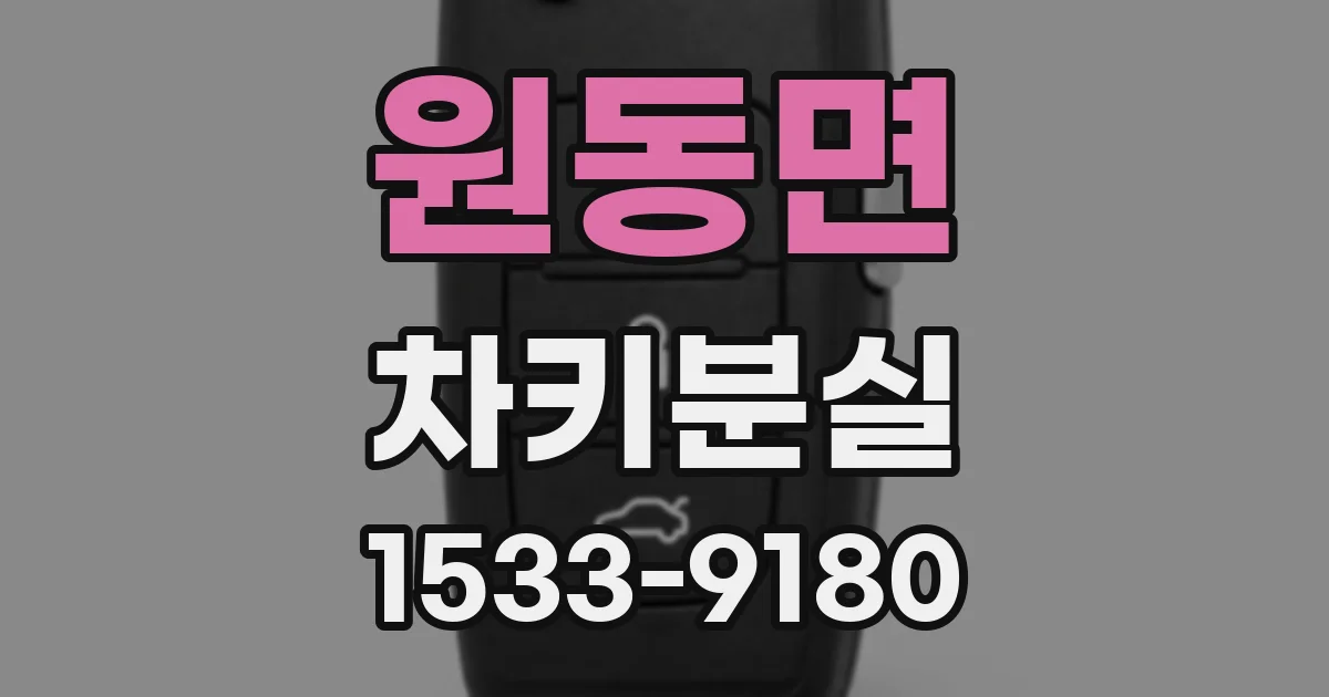 원동면 차키분실