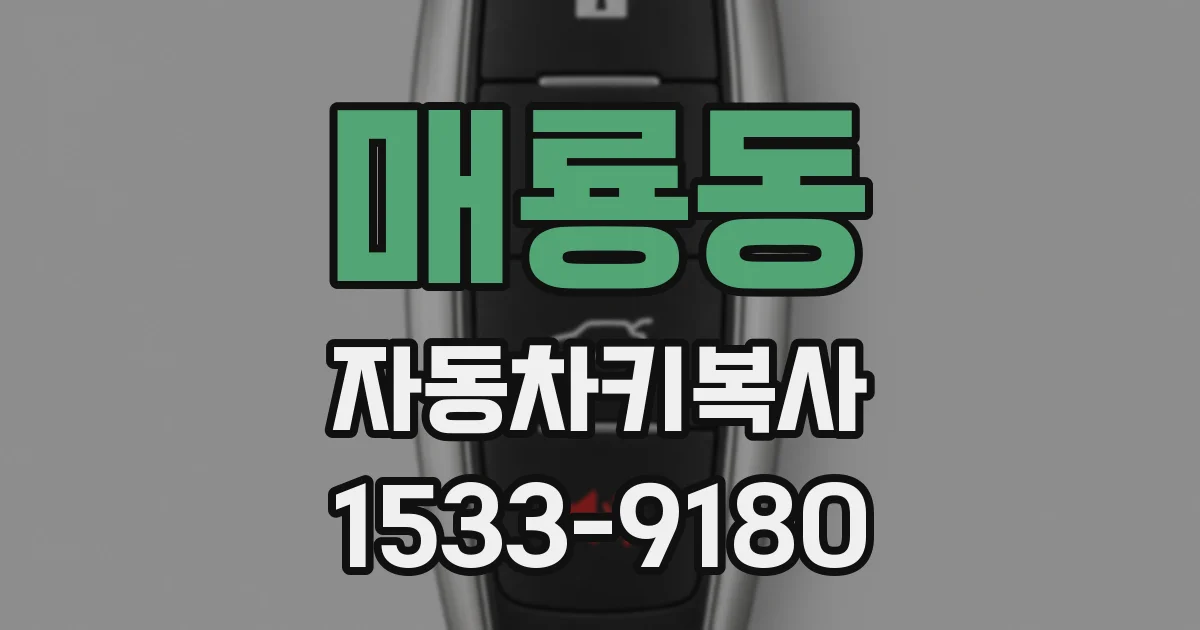 매룡동 자동차키복사