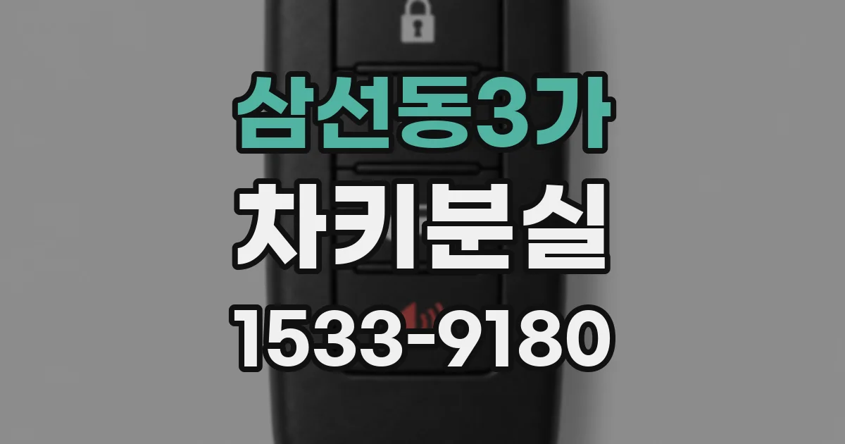 삼선동3가 차키분실