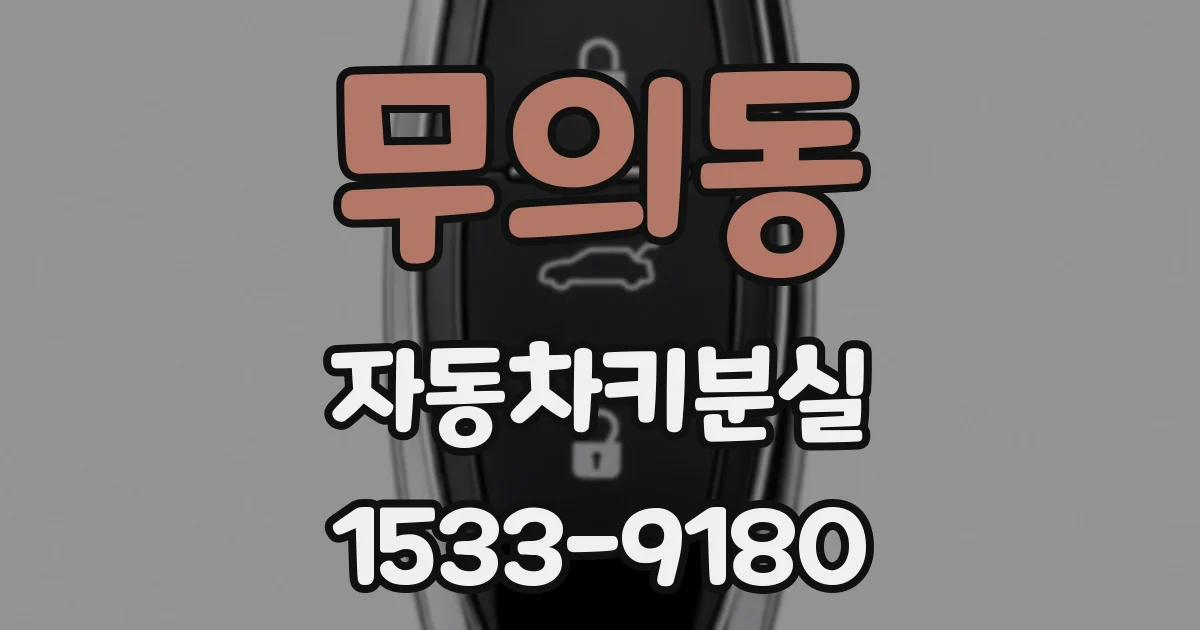 무의동 자동차키분실