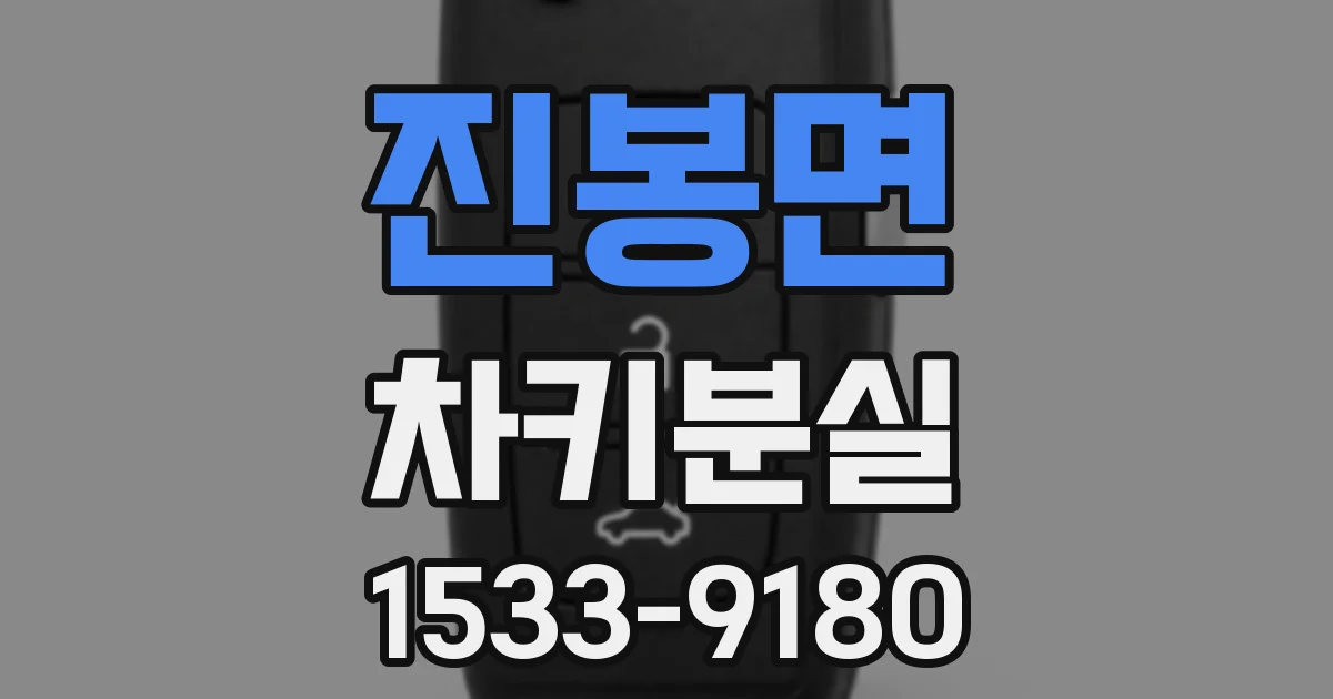 진봉면 차키분실