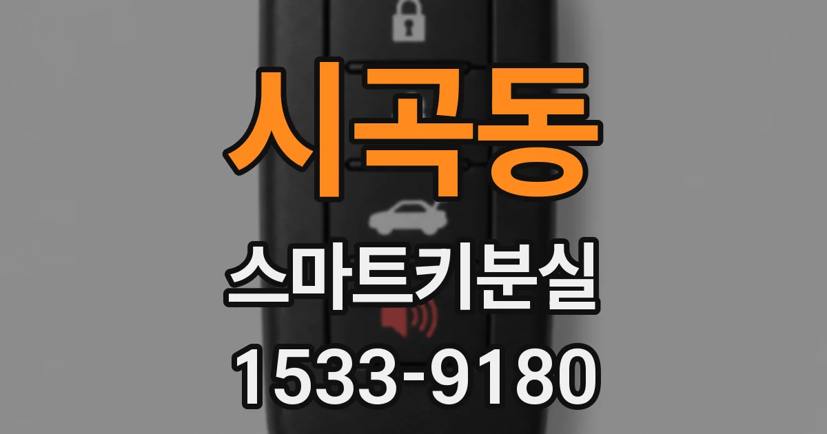 시곡동 스마트키분실