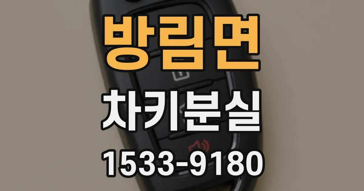 방림면 차키분실