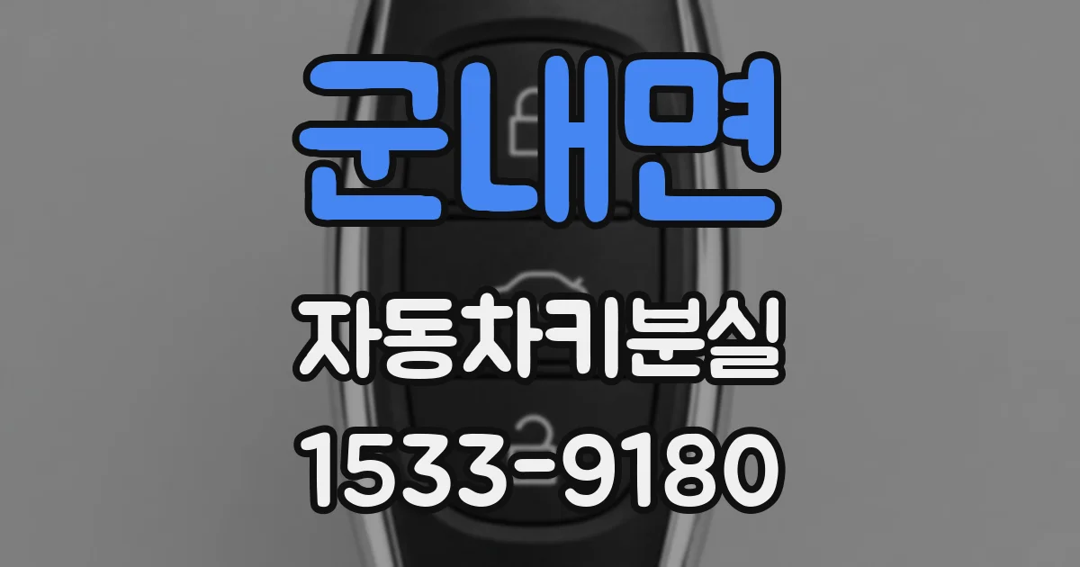군내면 자동차키분실