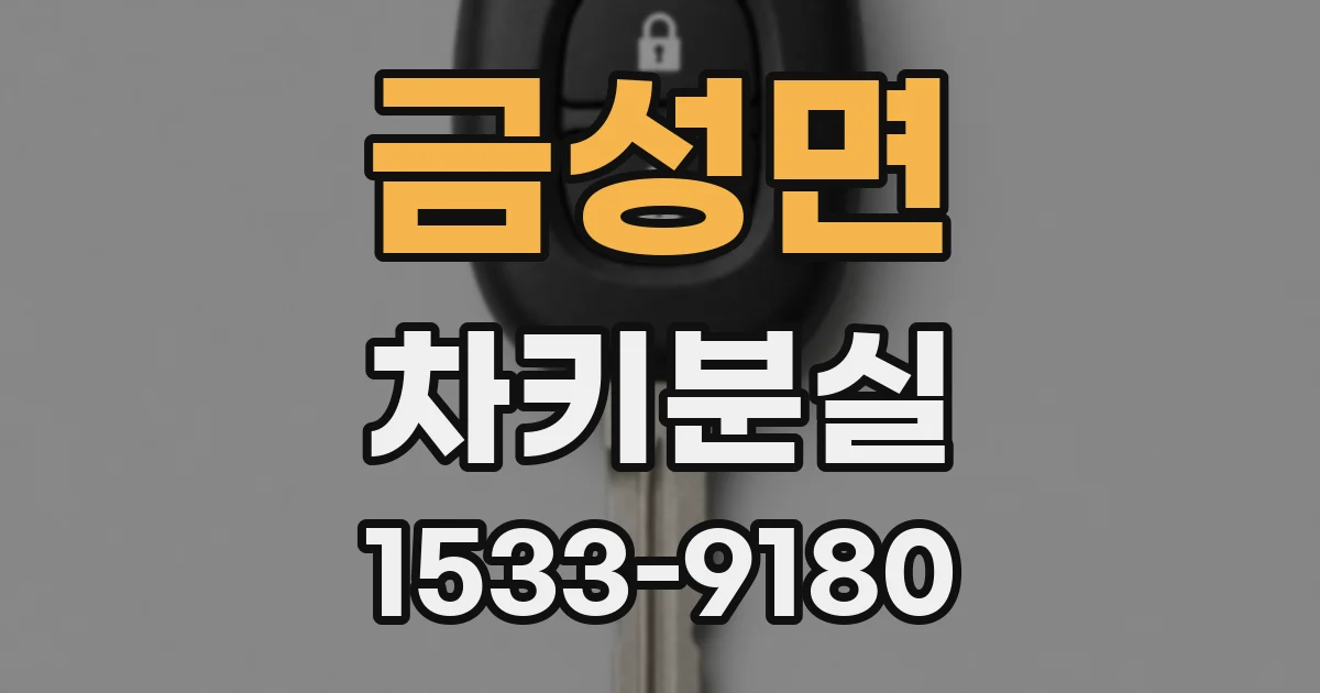 금성면 차키분실