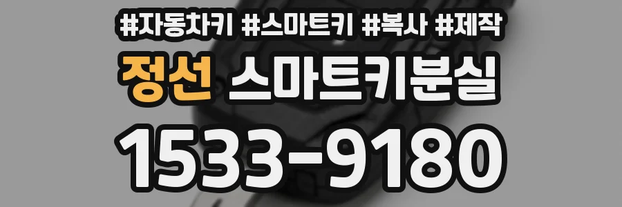정선 스마트키분실