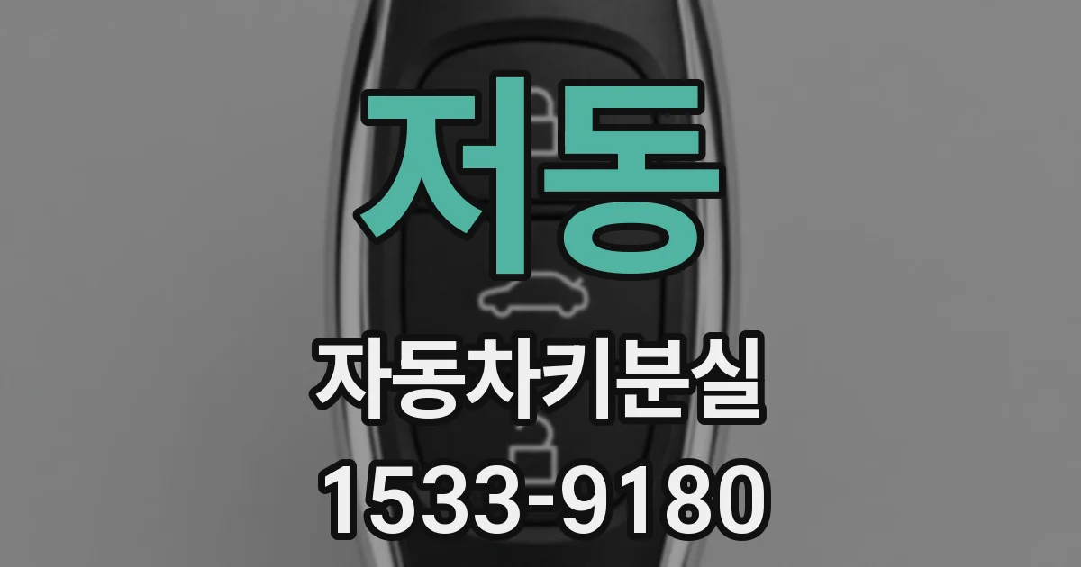 저동 자동차키분실