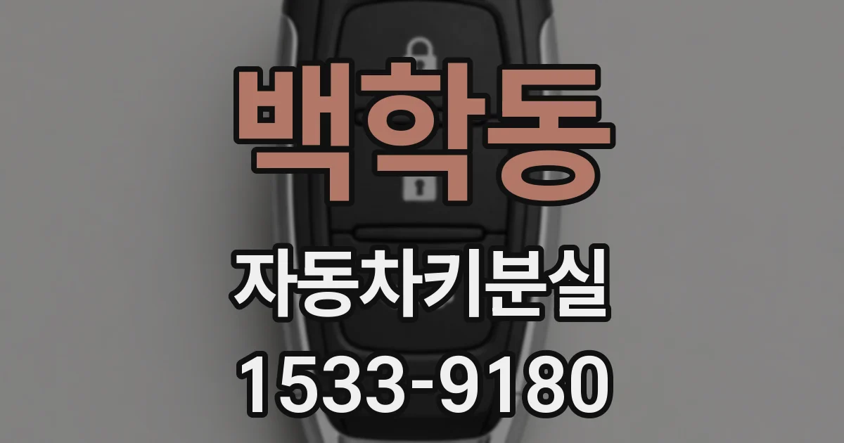 백학동 자동차키분실