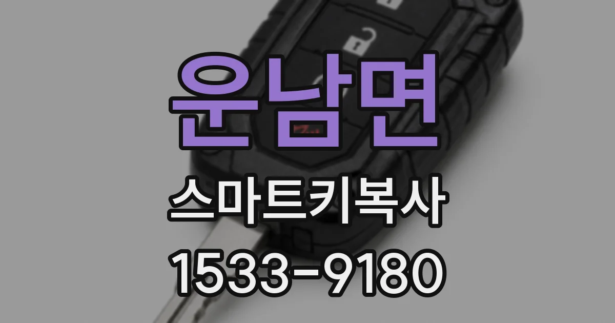 운남면 스마트키복사