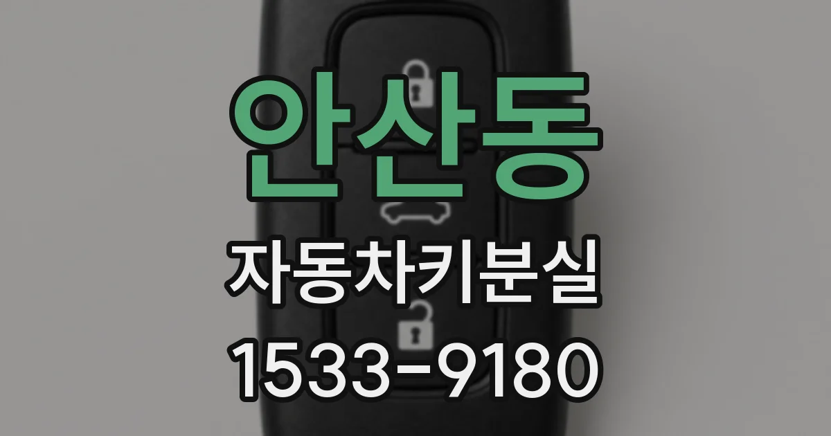 안산동 자동차키분실