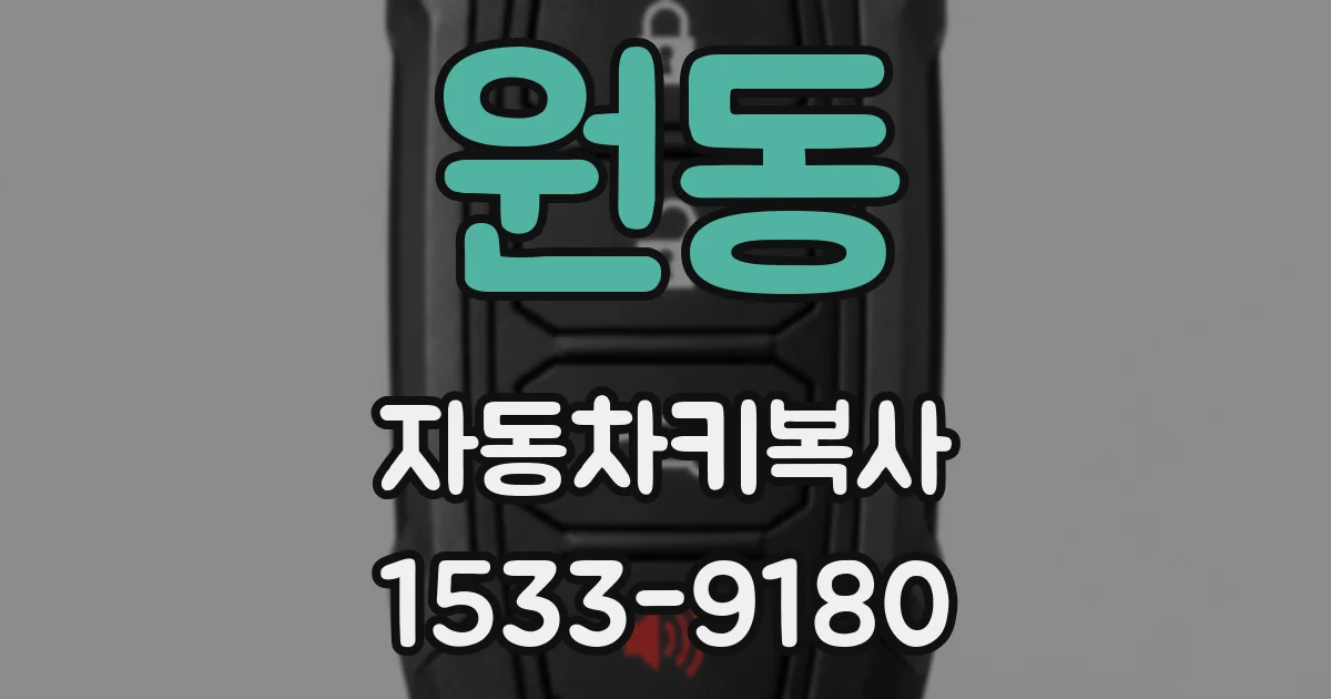 원동 자동차키복사