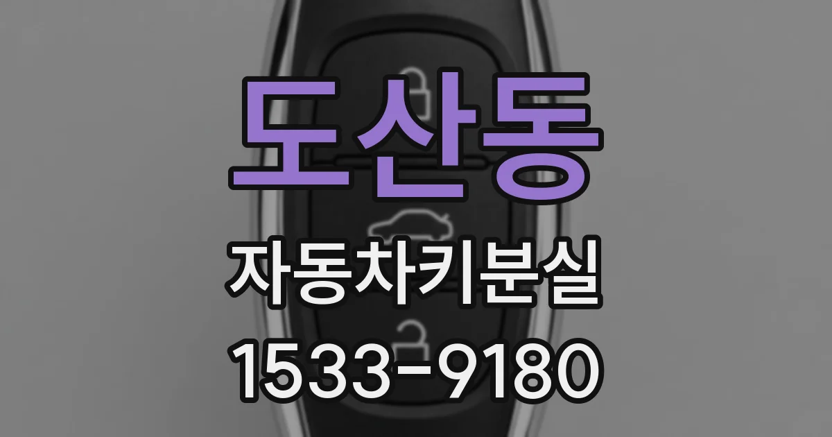 도산동 자동차키분실