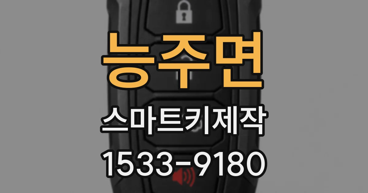 능주면 스마트키제작