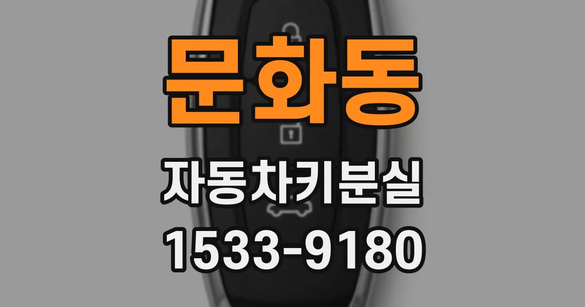 문화동 자동차키분실