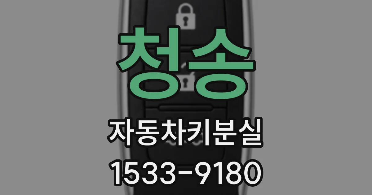 청송 자동차키분실