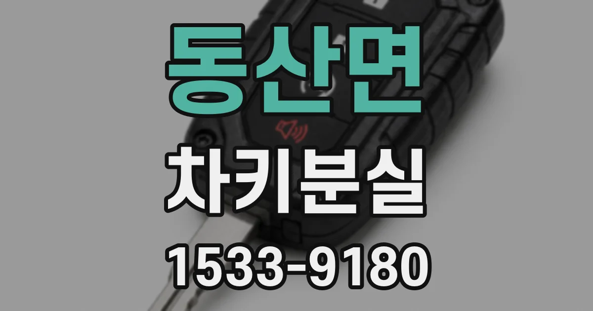 동산면 차키분실