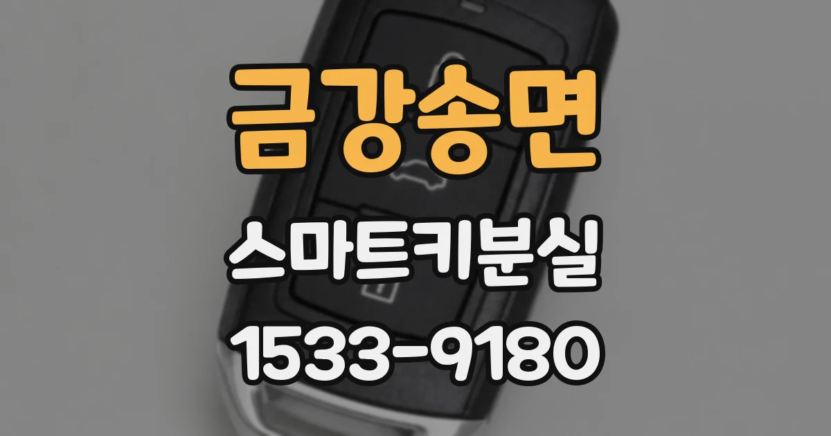 금강송면 스마트키분실