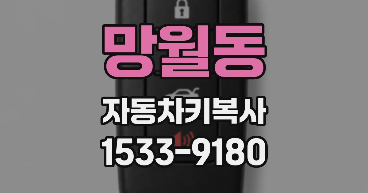 망월동 자동차키복사