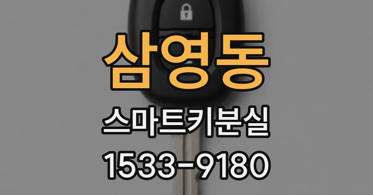 삼영동 스마트키분실