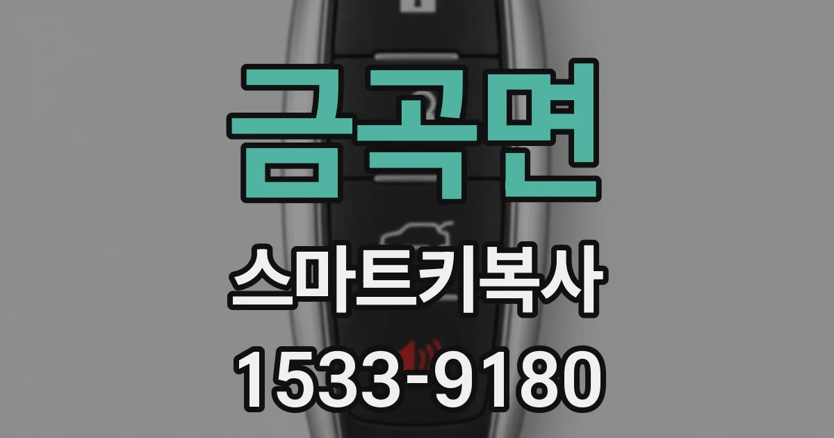 금곡면 스마트키복사