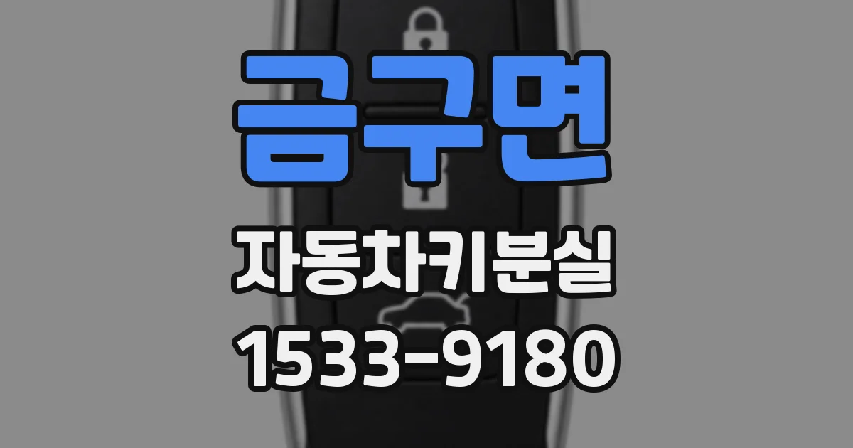 금구면 자동차키분실
