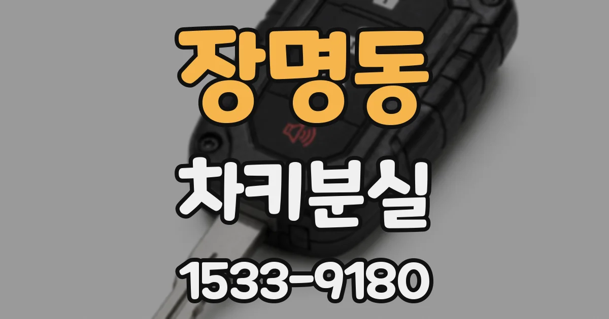 장명동 차키분실
