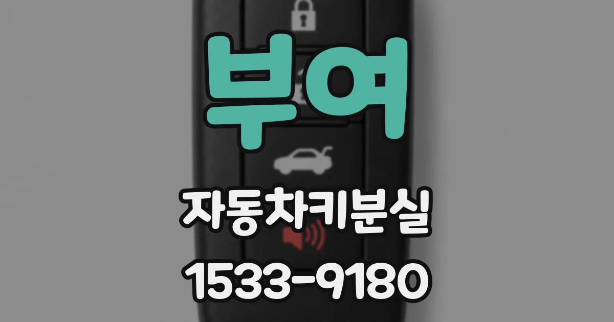 부여 자동차키분실