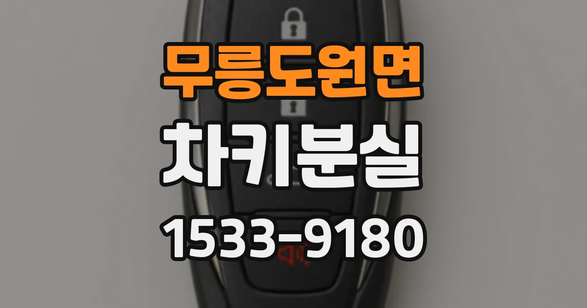 무릉도원면 차키분실