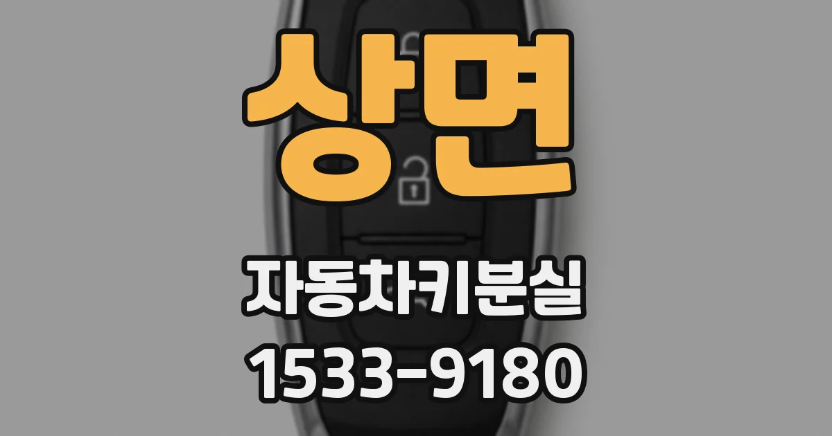상면 자동차키분실