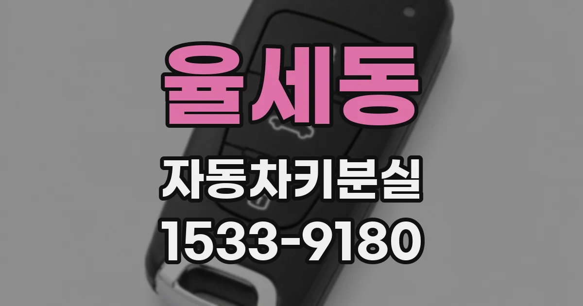 율세동 자동차키분실