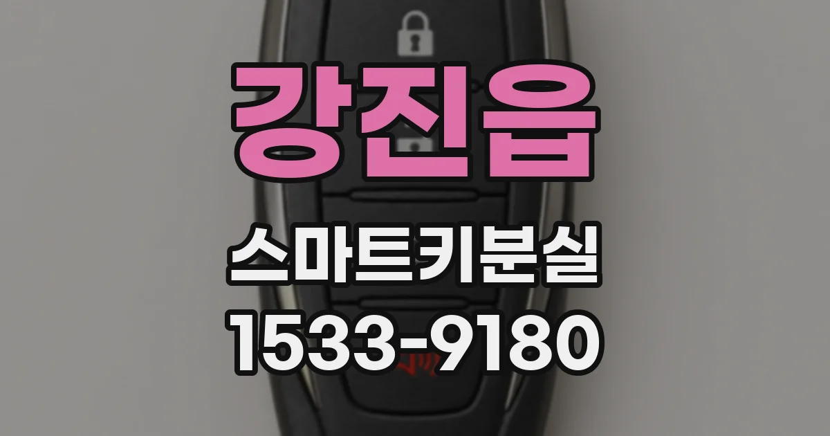 강진읍 스마트키분실